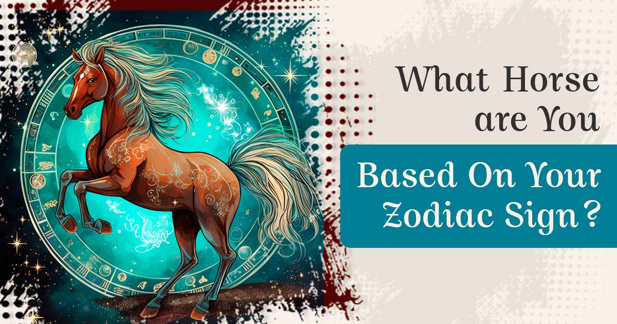 What Horse Are You Based on Your Zodiac Sign?